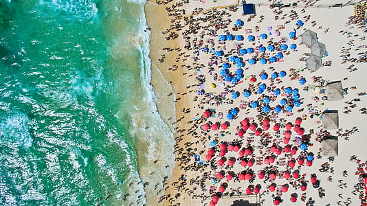 aerial photography of people on seashore thumbnail
