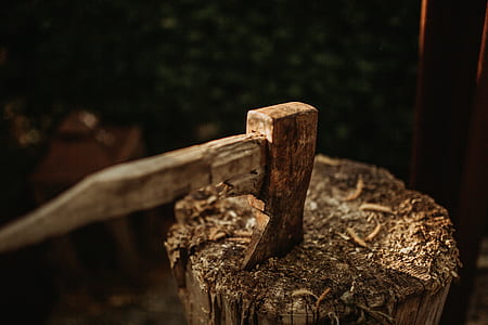selective focus photography of ax on wood thumbnail
