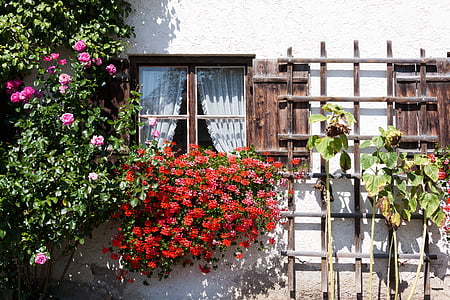 pink and red petaled flowers decors thumbnail
