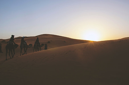 three people riding camels on dessert during daytime thumbnail