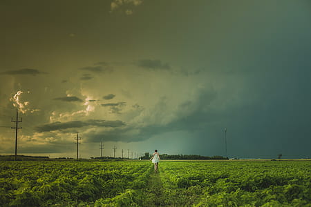 woman walking on green grass field thumbnail