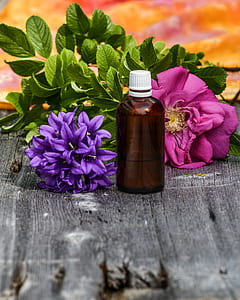 purple and pink petal flower beside the brown and white glass bottle on gray surface thumbnail