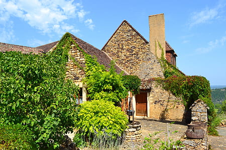 brown concrete house surrounded by green plants at daytime thumbnail