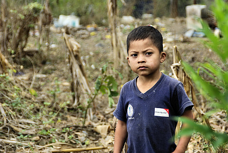boy standing beside green plant thumbnail