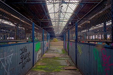 assorted graffitis inside blue warehouse thumbnail
