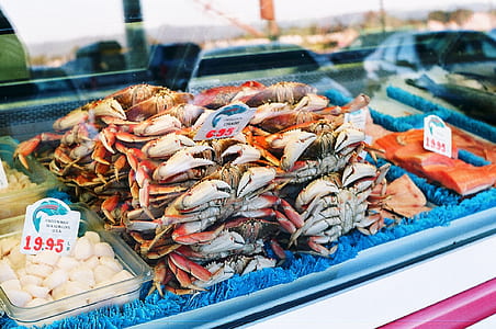 bunch of crabs on display counter thumbnail
