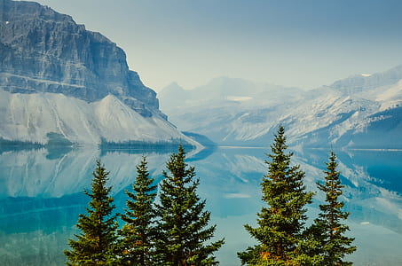 pine trees beside sea and mountains covered with snow thumbnail