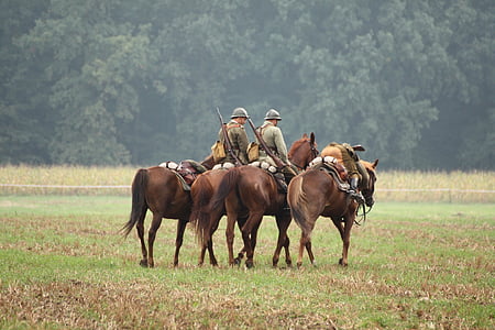 two men on horse near trees thumbnail
