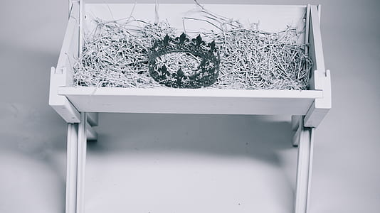 crown on folding container with twigs thumbnail