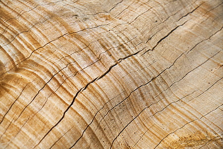 closeup photo of beige wooden surface thumbnail