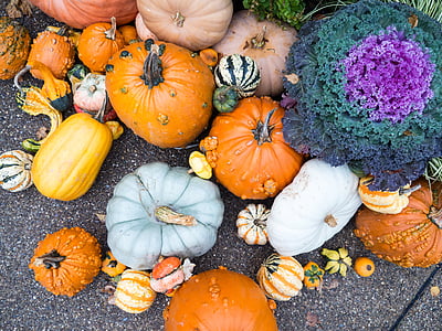 variety of pumpkins on pavement thumbnail