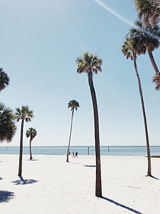 two person walking at the shore near trees during day thumbnail