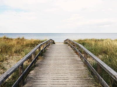 brown wooden dock beside bush near ocean thumbnail