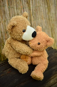 two bear hugging plush toys thumbnail