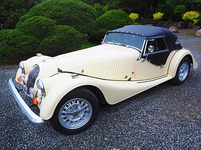 classic white convertible coupe beside green plants thumbnail