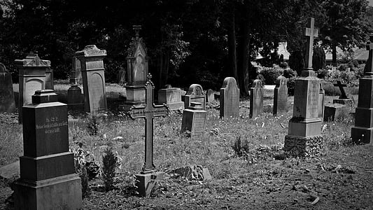 grayscale photo of graveyard during daytime thumbnail