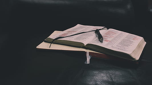 two books on black sofa thumbnail