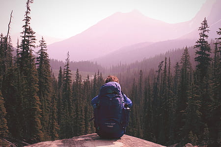 man sitting near cliff surrounded by trees thumbnail