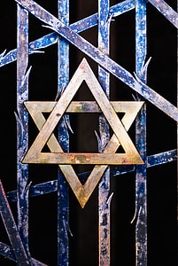 gold Star of David emblem thumbnail