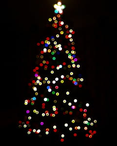 lights, tree, christmas tree, star thumbnail