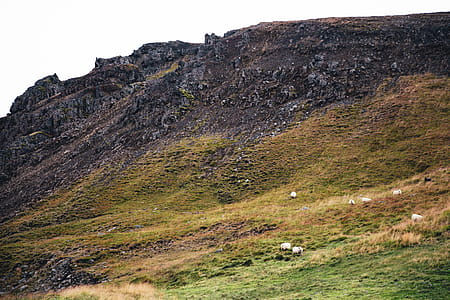 Crumbling rocky cliffs of a moss-grown hill thumbnail