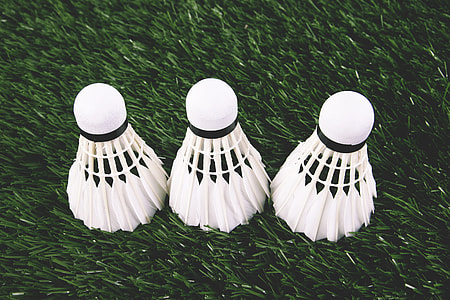 Shuttlecock for badminton thumbnail