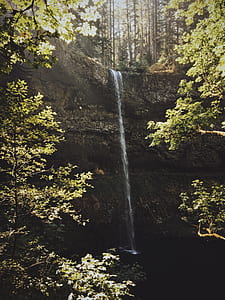 closeup photography of waterfalls between trees thumbnail