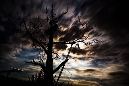 silhouette tree under cloudy skies thumbnail