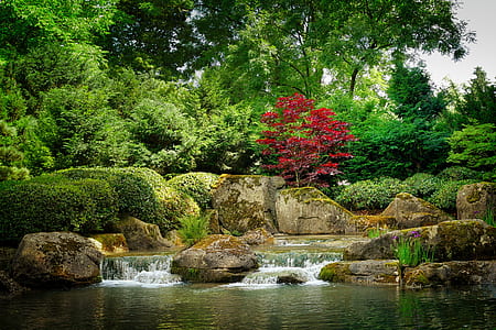river surrounded with green leaf trees thumbnail