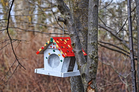 gray and red wooden birdhouse on tree in selective focus photography thumbnail