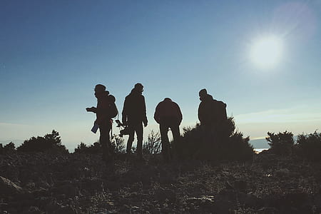 four person standing near leafed plants thumbnail