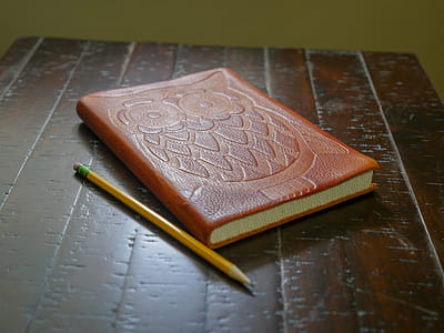 An owl notebook and pencil sitting on a wooden desk thumbnail