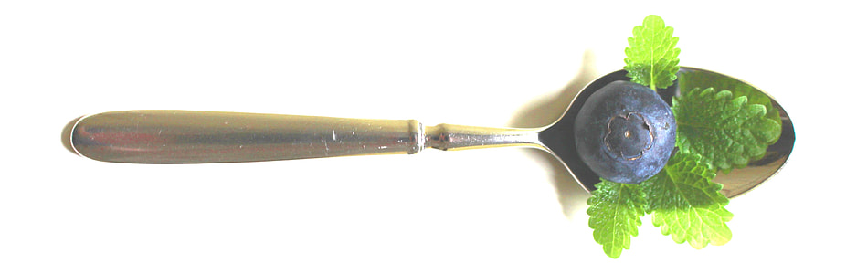silver steel spoon and blue berrry thumbnail