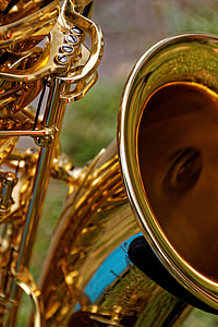 Instrument, Musical Instrument thumbnail