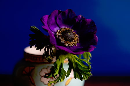 purple flower in vase thumbnail