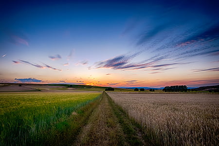 path in the middle of field thumbnail