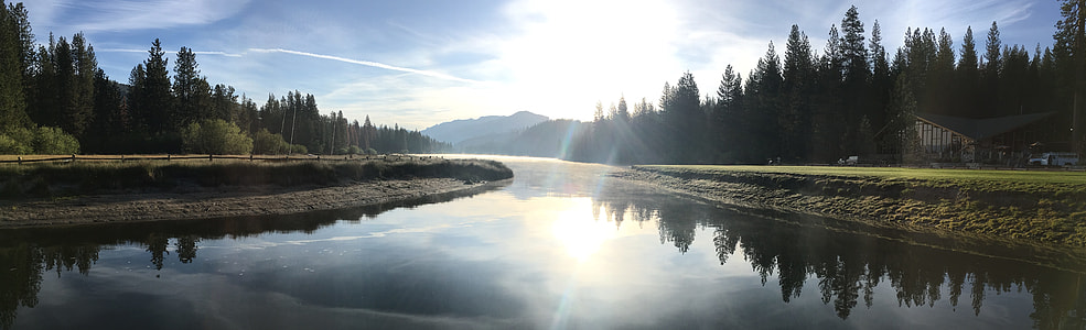calm body of water between trees thumbnail
