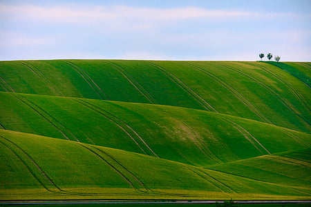 green grass field under blue sky thumbnail