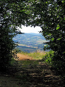 photography of green fields with trees and mountains under gray sky during daytime thumbnail