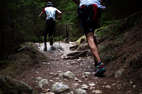 two men running near trees thumbnail