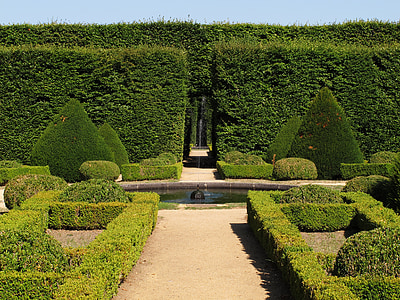 green leafed plants thumbnail