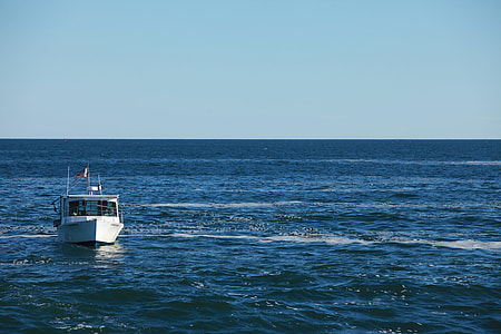 white motorboat on body water during daytime thumbnail
