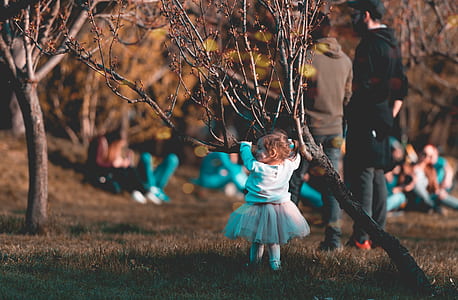 girl wearing white dress while holding tree thumbnail
