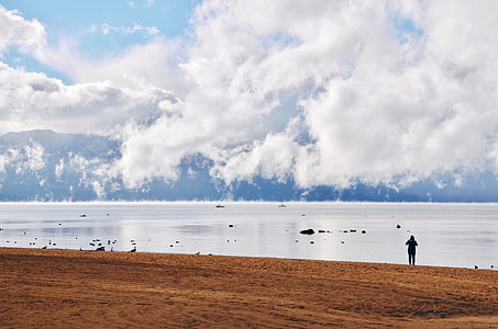 person standing on seashore thumbnail
