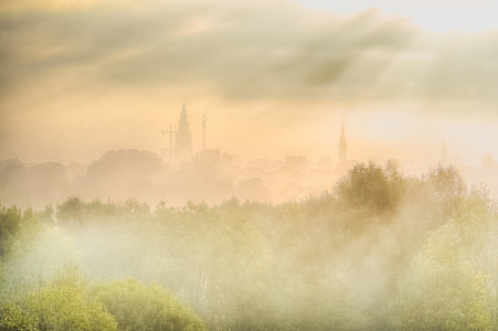 landscape photography of foggy forest thumbnail