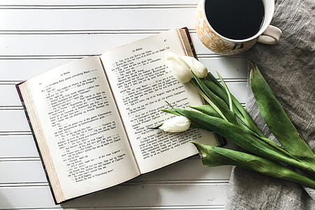 Coffee, Flowers and Open Book thumbnail