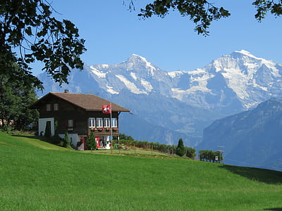 brown house at grass field with mountain as background thumbnail