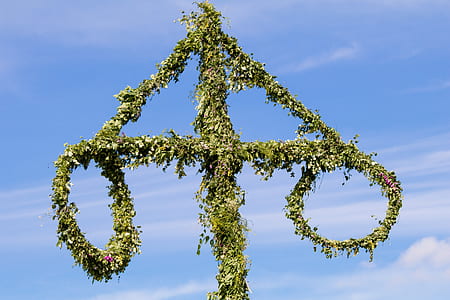 green arrow plant decor thumbnail