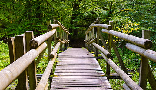 brown wooden bridge thumbnail