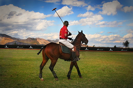 person riding horse during daytime thumbnail